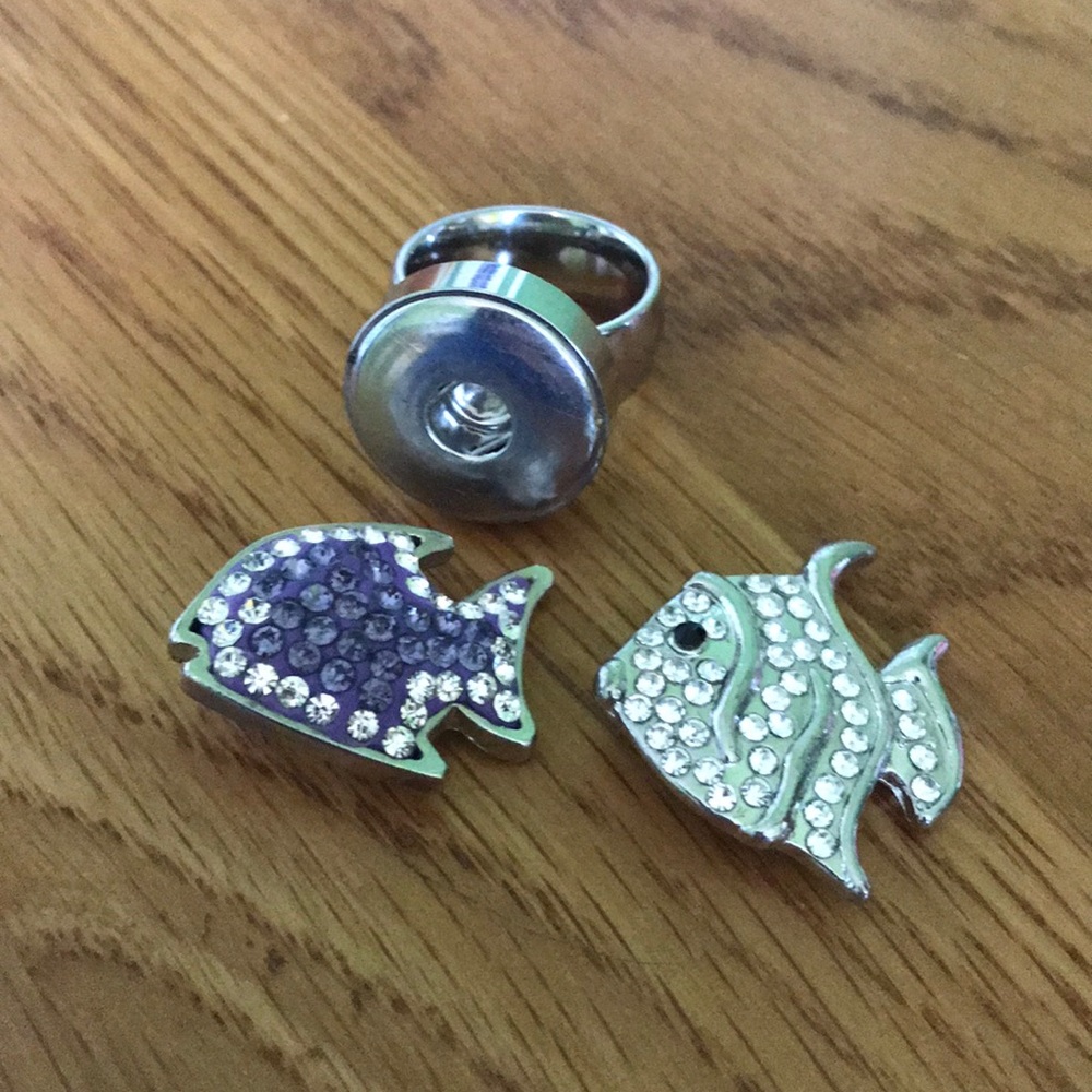 Snap ring and two fish snaps